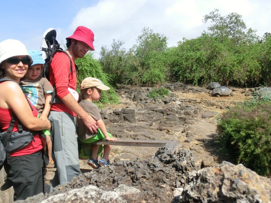 CIMG8493-scaled CIMG8493-scaled