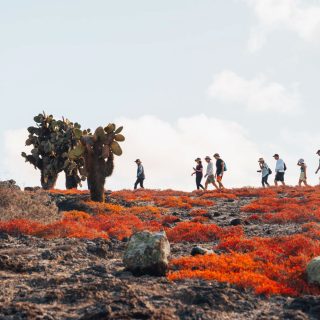 Magical Galápagos