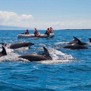 ISABELA ISLAND ADVENTURE  5 Days / 4 Nights
