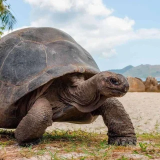 EXPLORING GALÁPAGOS  10 Days / 9 Nights
