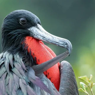 GALÁPAGOS ISLAND HOPPING – 8 Days / 7 Nights
