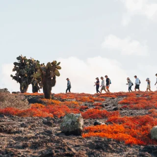 MAGICAL GALÁPAGOS  6 Days / 5 Nights